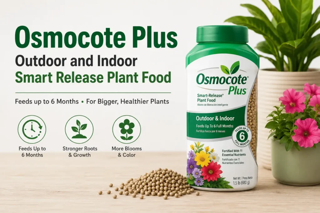 Osmocote Plus Outdoor and Indoor Smart Release Plant Food