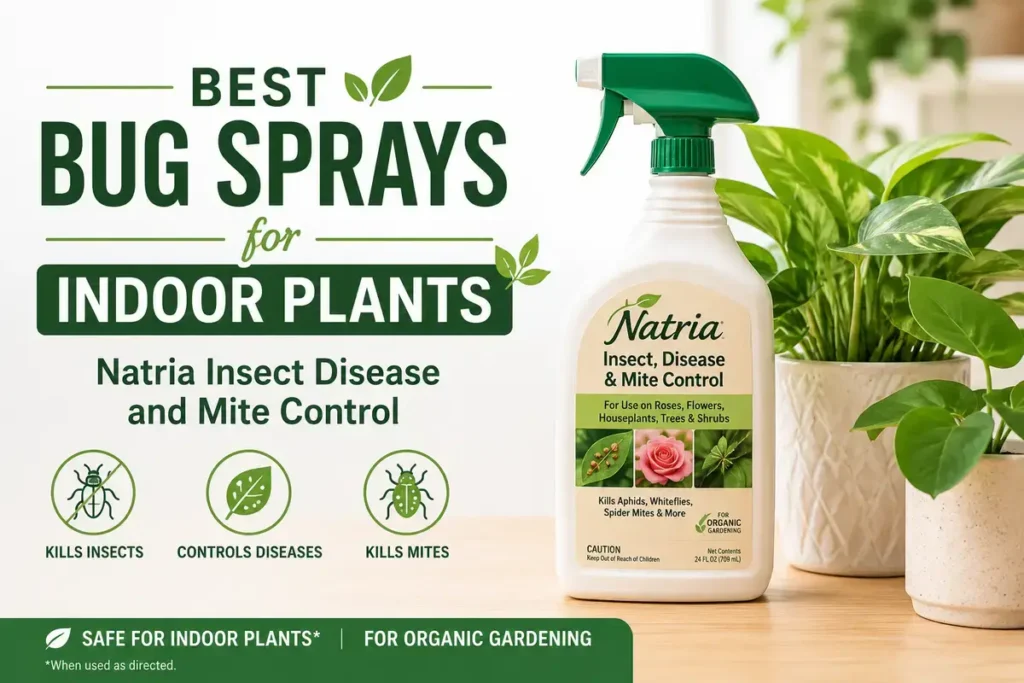 Natria Insect Disease and Mite Control Best Bug Sprays for Indoor Plants