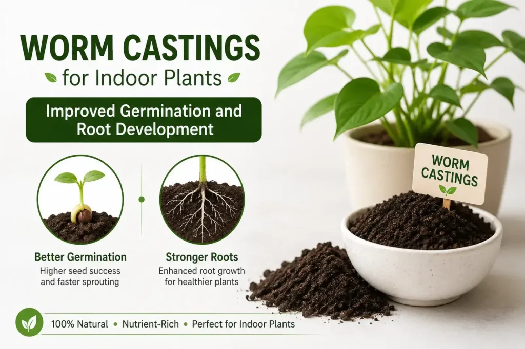 Worm Castings for Indoor Plants Soil Amendment When Repotting