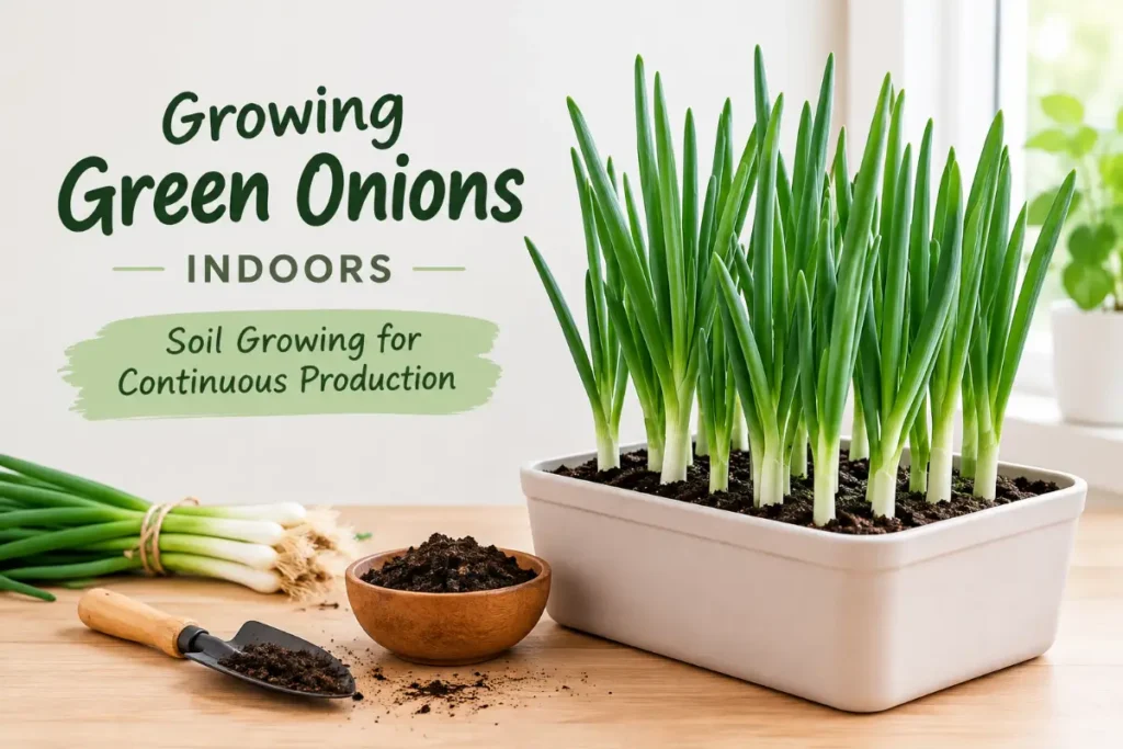 Growing Green Onions Indoors: 7 Steps to Endless Fresh Scallions